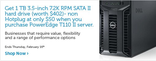 PowerEdge T110 II