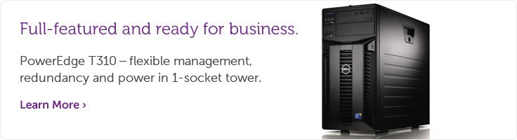 PowerEdge T310 Tower Server