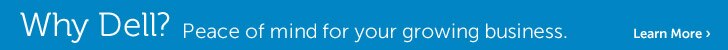 Why Dell?