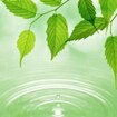 Green Technology
