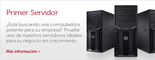 Primer Servidor para su negocio en crecimiento