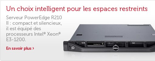 PowerEdge R210 II