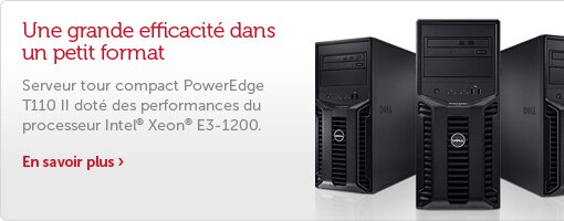 PowerEdge T110 II