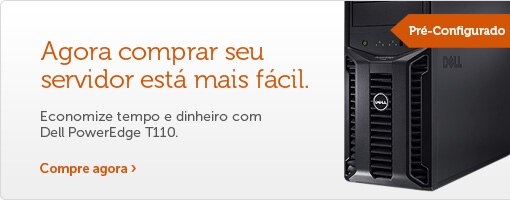 Servidor PowerEdge T110