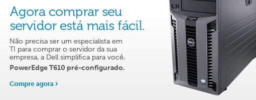 Servidor PowerEdge T610