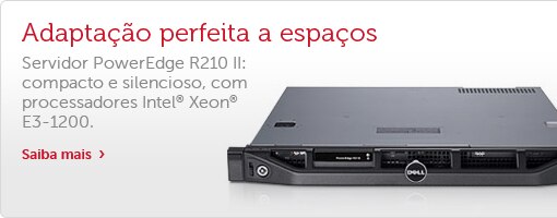 Servidor PowerEdge R210II
