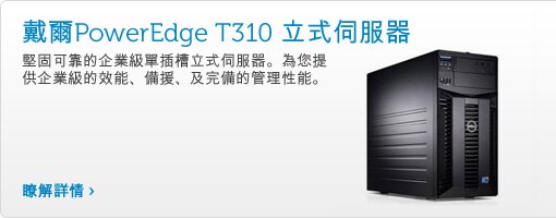 戴爾PowerEdge T310 企業級單插槽立式伺服器