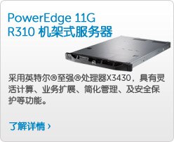 PowerEdge R310