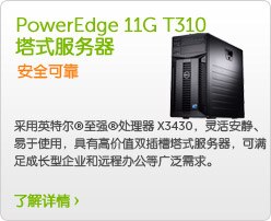 PowerEdge 11G T310机架式服务器