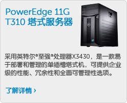 PowerEdge 11G T310机架式服务器