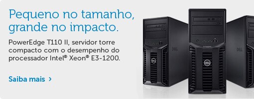 Servidor PowerEdge T110II