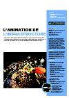 L'animation de L'infrastructure 