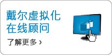 戴尔虚拟化在线顾问