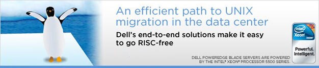Minimizing RISC in the Efficient Enterprise