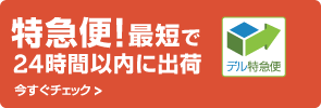 Dell 特急便