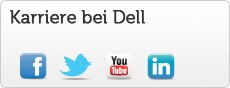 Karriere bei Dell