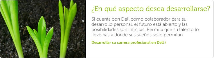 Desarrollar su carrera profesional en Dell Desarrollar su carrera profesional en Dell