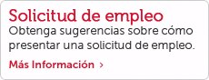 Solicitud de empleo