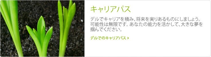 キャリアパス キャリアパス
