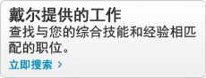 戴尔提供的工作