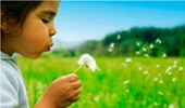 Corporate Responsibility