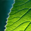 2011 Corporate Responsibility Report thumbnail