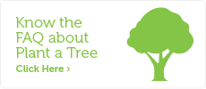 Know the FAQs about Plant-A-Tree