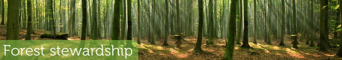 Forest Stewardship