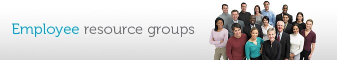 Employee Resource Groups Overview