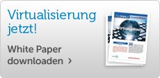 Virtualisierung – White Paper