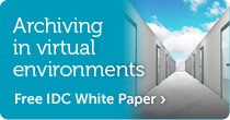 Archiving in Virtual Environments