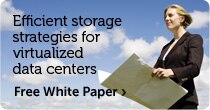 Efficient Storage Strategies for Virtualized Data Centers