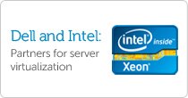 Dell and Intel: Partners for Server Virtualization