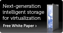 Next-Generation Intelligent Storage for Virtualization 