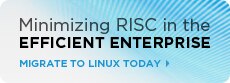 Minimizing RISC in the Efficient Enterprise