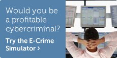 E-Crime Simulator