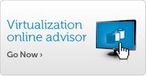 Virtualization online advisor