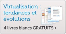 Virtualization 210