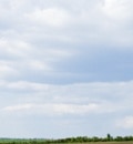Cloud Based Services