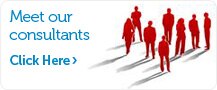 Meet our Consultants