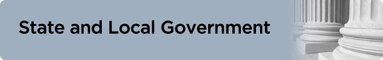 State and Local Government
