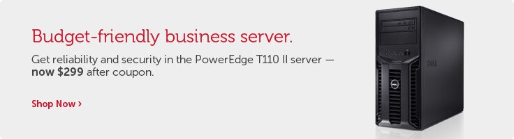 Budget-friendly business server.
