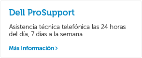  Dell prosupport
