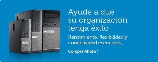 OptiPlex 3010
