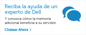 Chat de Dell