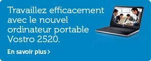 Vostro 2520