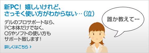 デル プロサポート物語
