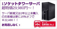 1ソケットタワーサーバ T110IIが超特価29,980円!