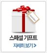 스페셜 기프트 
