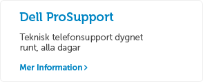 Dell Prosupport